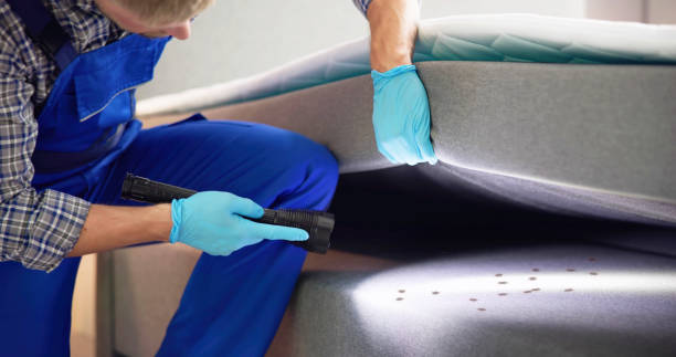 Reliable Arnold, MD Pest Control Solutions
